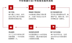 中国口罩行业发展趋势及竞争策略研究报告
