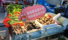 这一波“土味”标语实力圈粉！