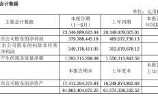 金发科技毛利率“一降再降”：两家石化子公司亏损超8亿元 货币资金无法覆盖短期借款