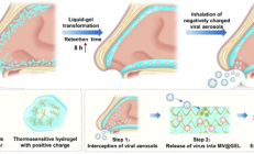 我国科学家研发出“鼻内口罩”：鼻腔内对病毒拦截、灭活