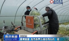 真情驰援 我市各界与湖北同心抗“疫”