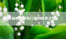 仙桃无纺布口罩的简单介绍