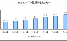 2015-2020年中国口罩市场深度调研与投资前景研究报告