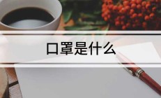 口罩是什么