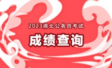 2023湖北省考公务员考试资格复审的方式